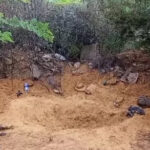 61b3507d-ccb4-4cc5-bb94-cd840c1b3675