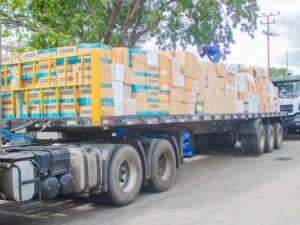 5 Medicinas para Bolívar