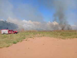 WhatsApp Image 2026-01-22 at 3.55.51 PM